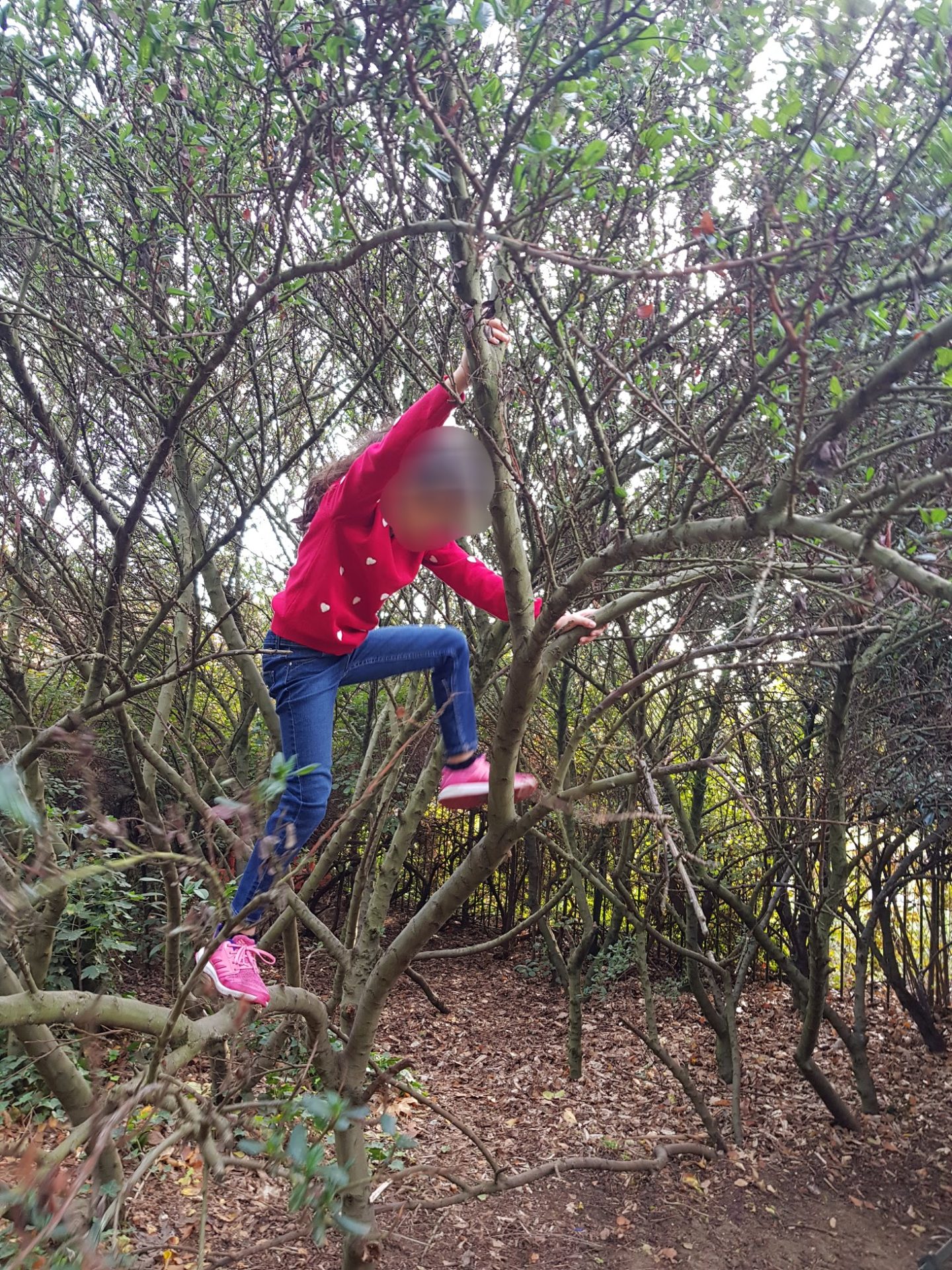 Smash That Pinterest! 